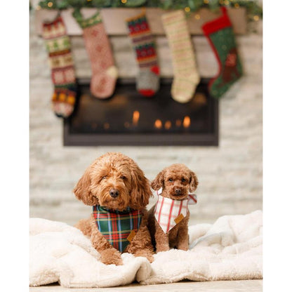 Remyroo + Premium Durable Christmas Dog Bandanas + Pet Accessories for Style & Comfort + Halloween Dog Bandana with Adjustable Fit + Noel